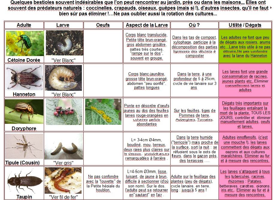 Quelques indésirables